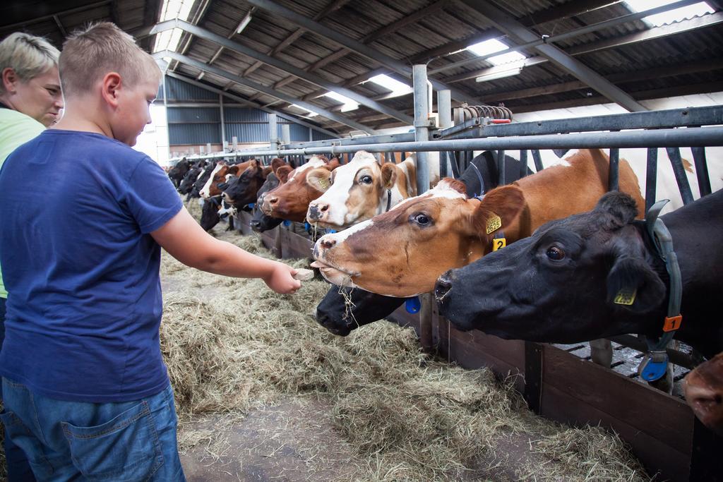 Farm Overleekerhoeve Monnickendam Zewnętrze zdjęcie